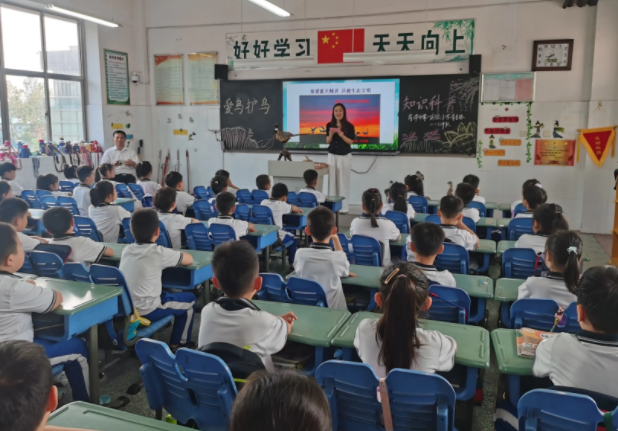 教育质量全面进阶让优质教育的阳光照亮每一个孩子的成长之路