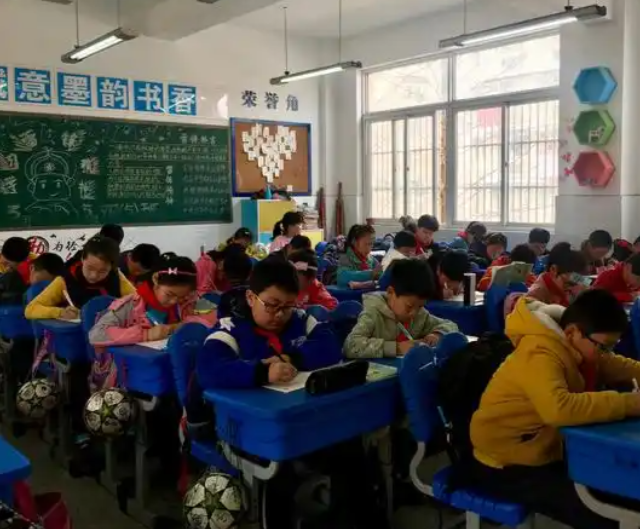真正的对症下药不是在起点上按成果分班而是在多元的班级生态中 真正的对症下药不是在起点上按成果分班而是在多元的班级生态中